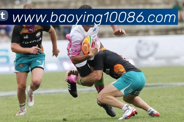 宝盈体育平台生态图